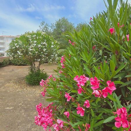 Praia Eulalia With Pool And 5 Minutes From The Beach Albufeira Exteriér fotografie