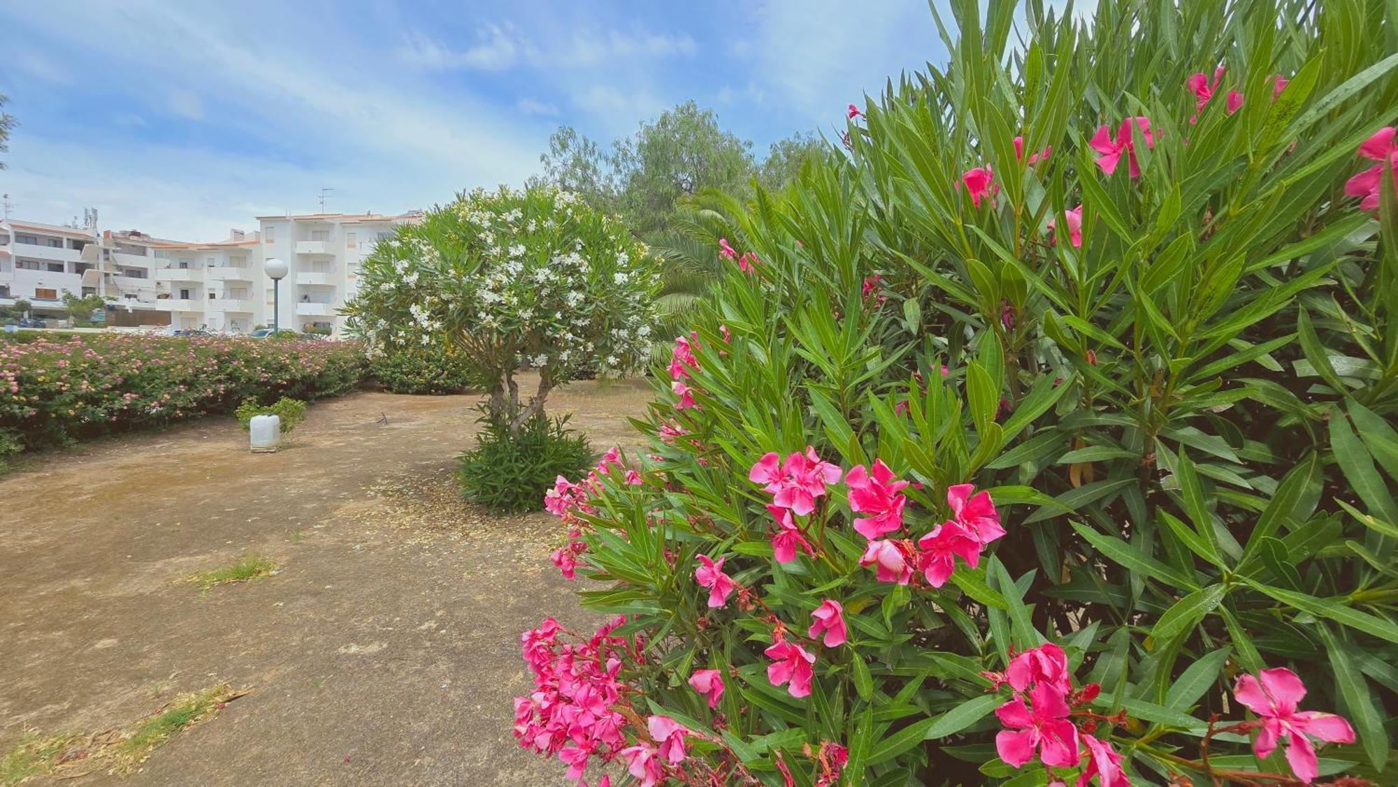 Praia Eulalia With Pool And 5 Minutes From The Beach Albufeira Exteriér fotografie