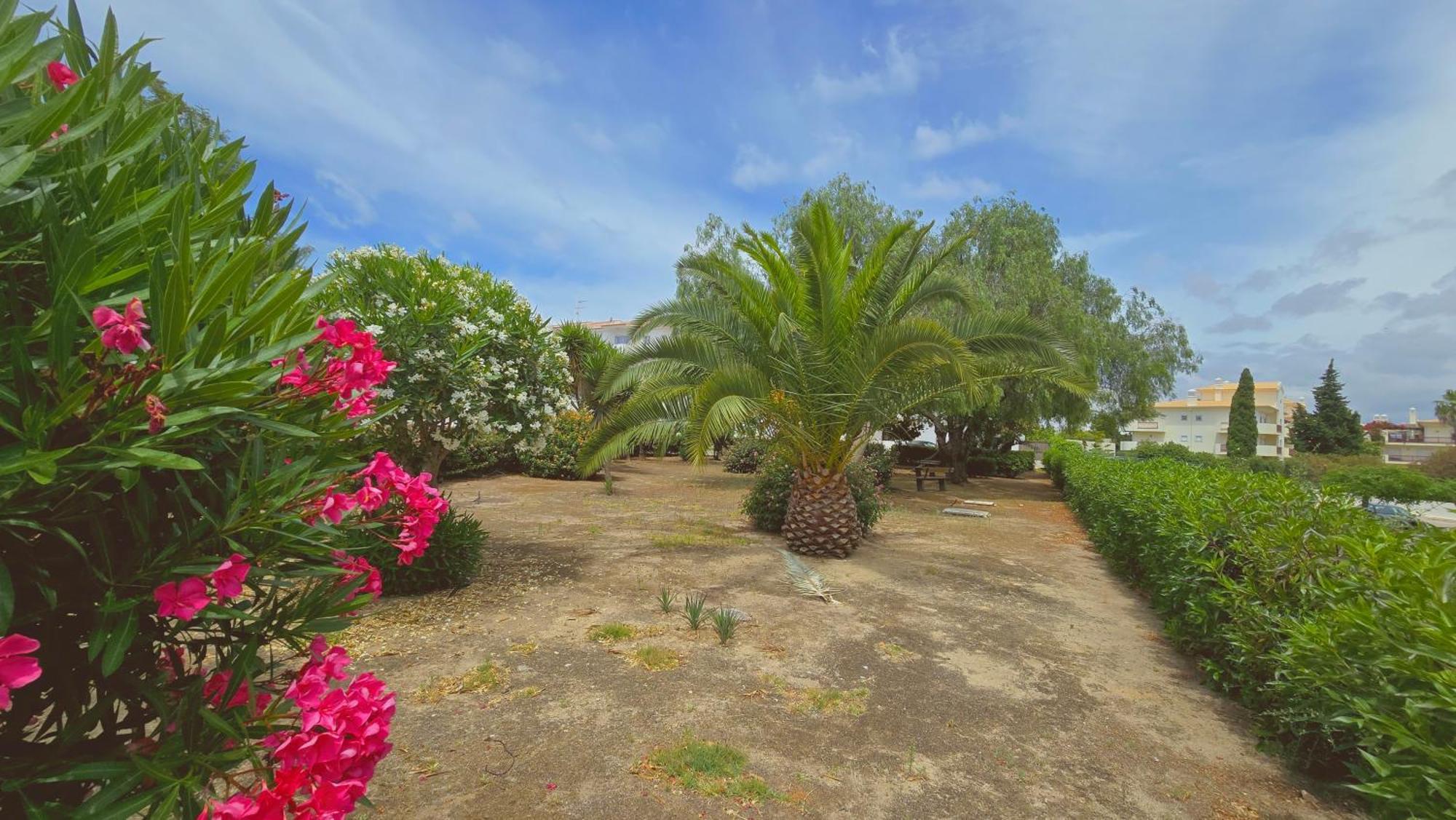 Praia Eulalia With Pool And 5 Minutes From The Beach Albufeira Exteriér fotografie