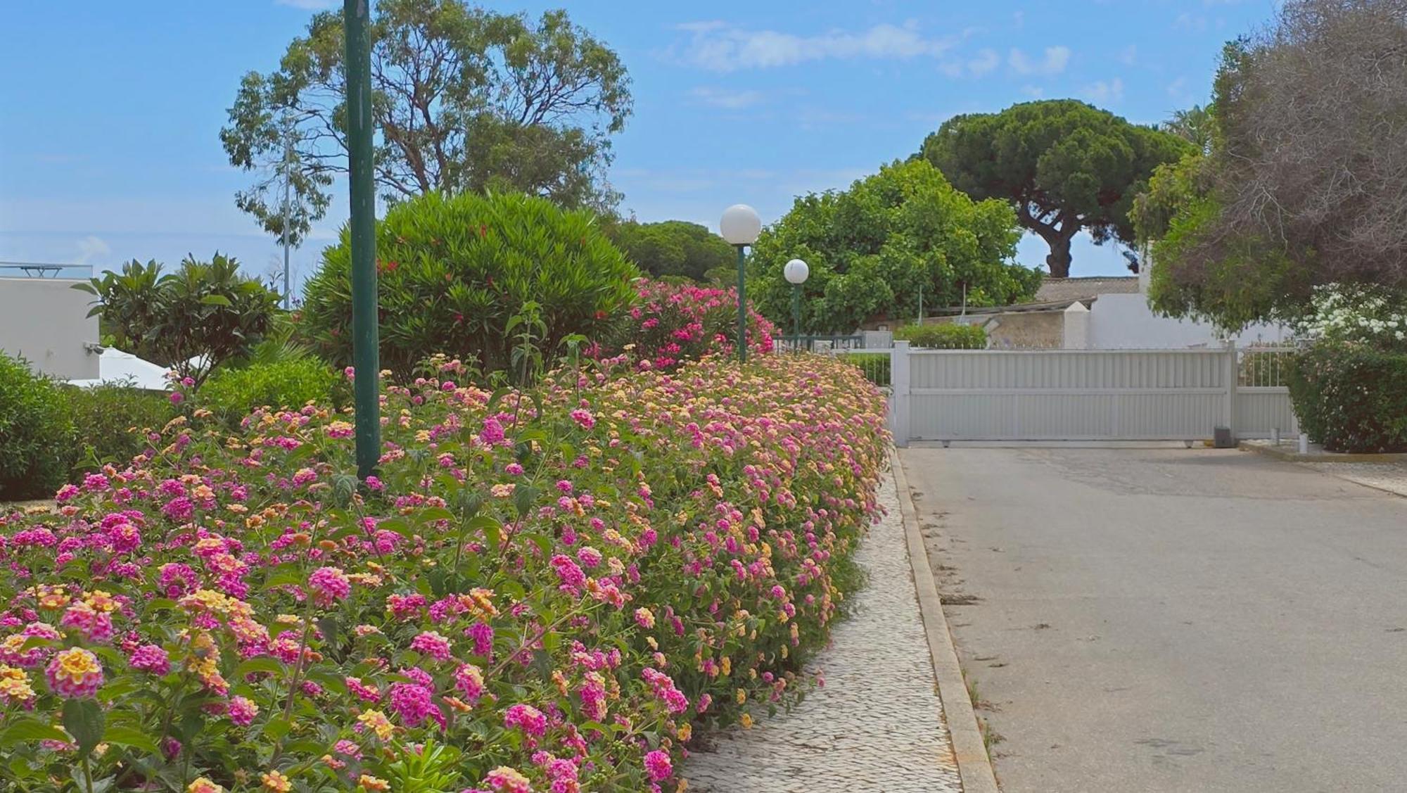 Praia Eulalia With Pool And 5 Minutes From The Beach Albufeira Exteriér fotografie